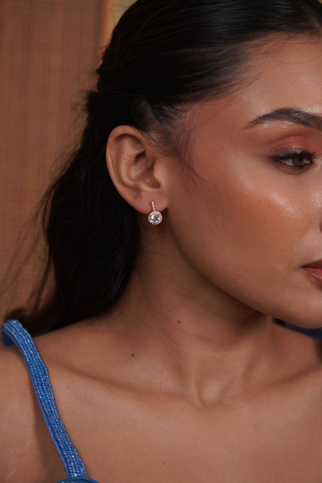 Classic Round Solitaire Drop Earring