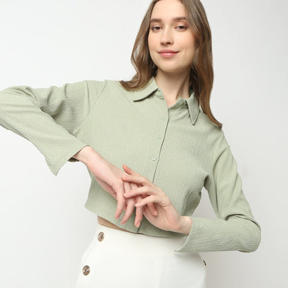 Regular Fit Solid Shirt Collar Shirt