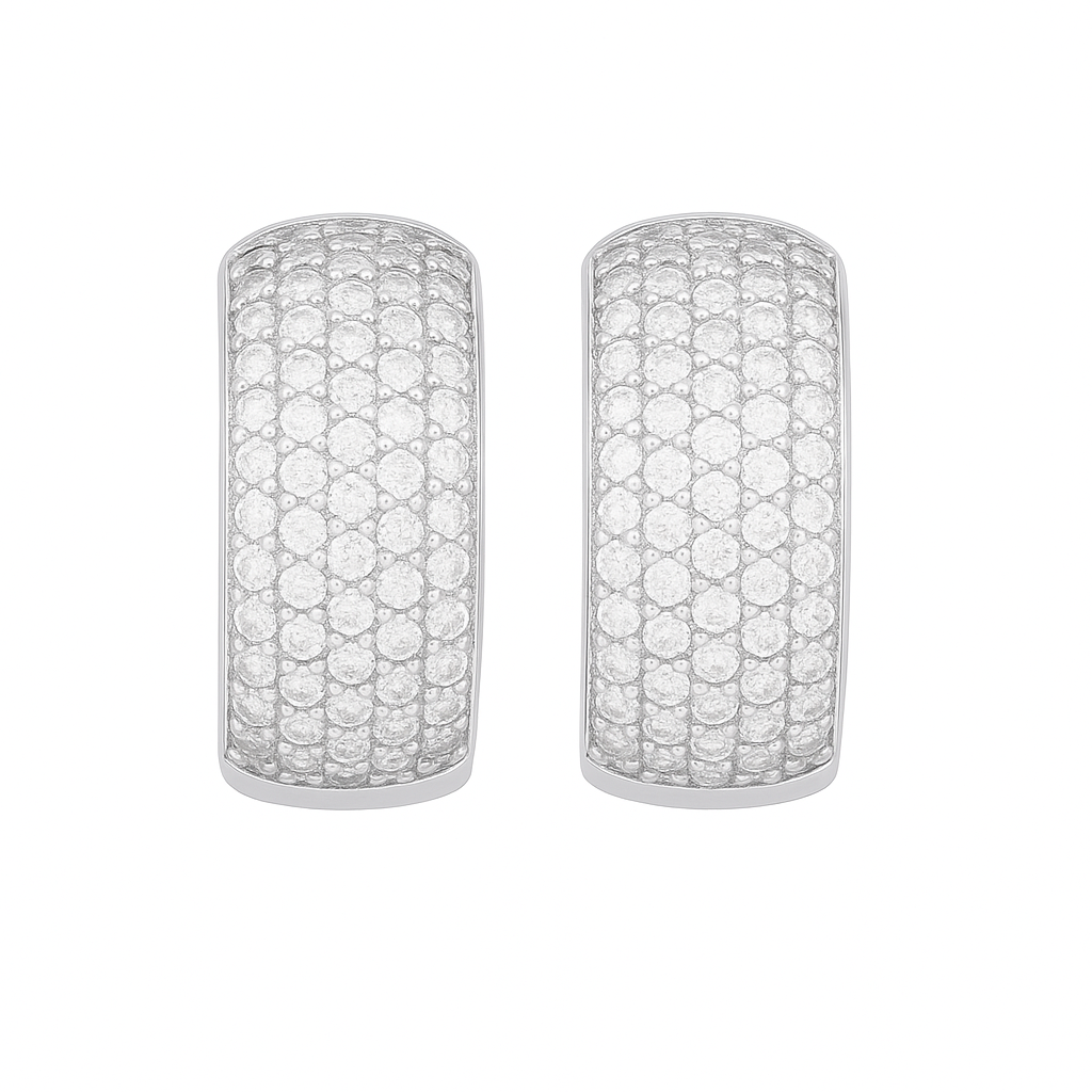 Silver Plated Luxe Sparkle Ear Studs