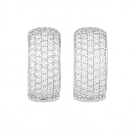 Silver Plated Luxe Sparkle Ear Studs