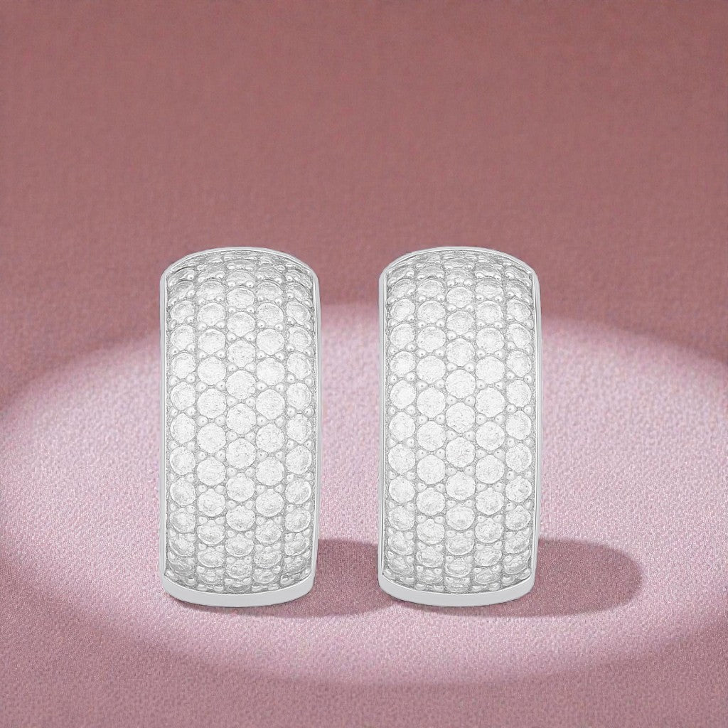 Silver Plated Luxe Sparkle Ear Studs