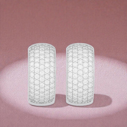 Silver Plated Luxe Sparkle Ear Studs