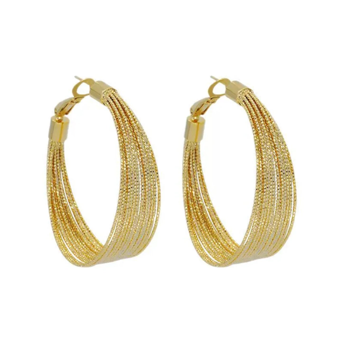 Prismatic Shimmer Hoop Earrings JLT12134
